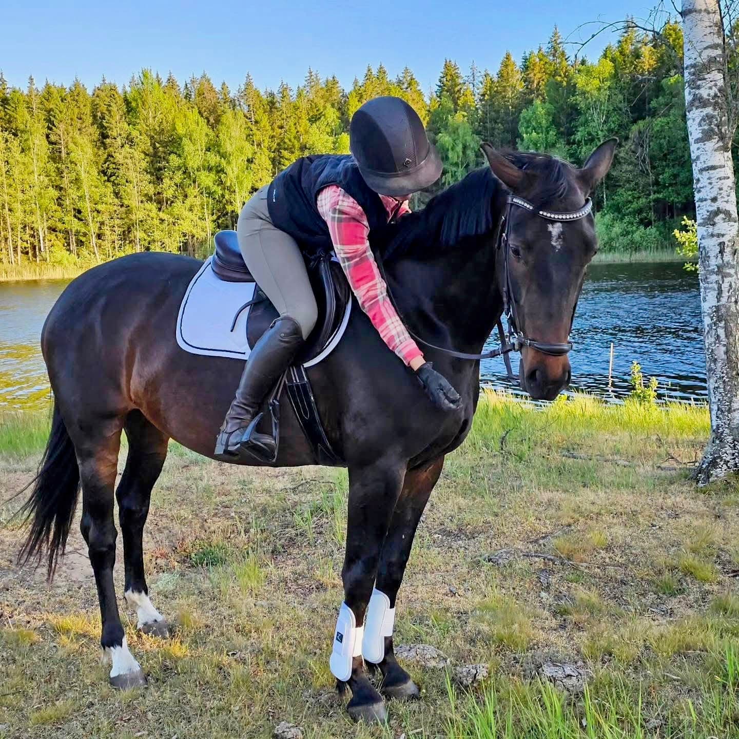 Ryttare som lutar sig mot sin häst i kvällsljus