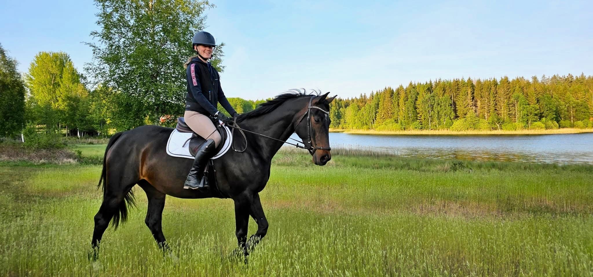 Ryttare på en mörk häst över en grön äng vid en sjö